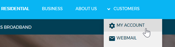 SpinTel website